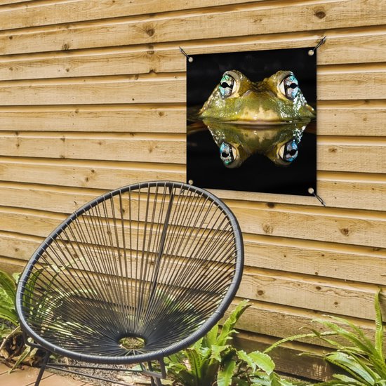 Tuinposter 50x50 cm - Tuindecoratie Kikker - Ogen - Portret - Poster voor in de tuin - Buiten decoratie - Schutting tuinschilderij - Tuindoek muurdecoratie - Wanddecoratie balkondoek