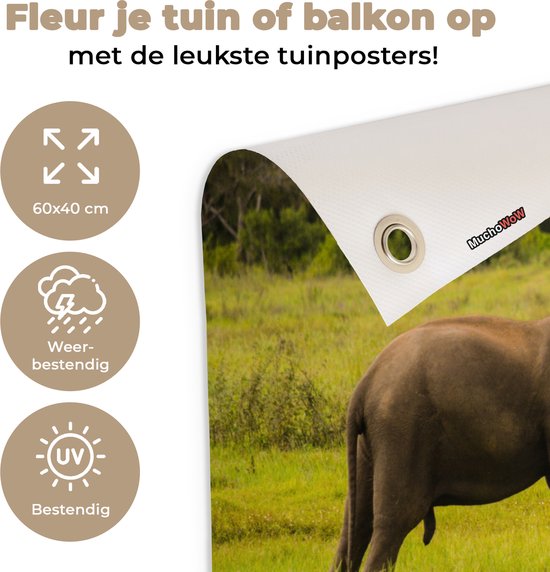 Décoration de jardin Deux éléphants combattants - 60x40 cm - Poster jardin - Toile jardin - Poster extérieur