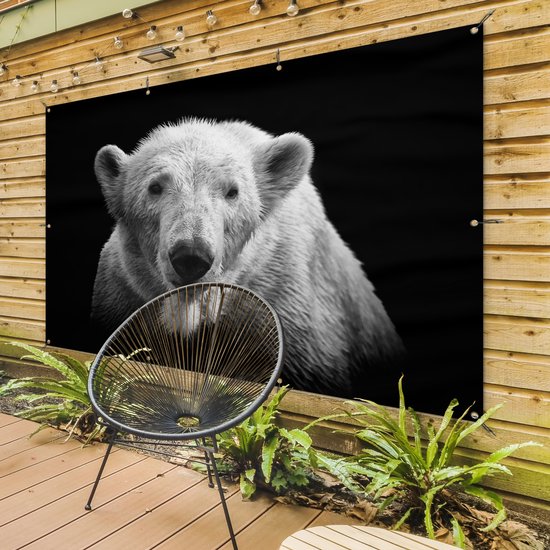 Décoration murale Ours polaire - Animal - Zwart - Wit - 180x120 cm - Poster jardin - Toile jardin
