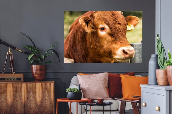 Stickers muraux - Film autocollant - Highlander écossais - Berg - Clôture - 120x80 cm - Film adhésif - Stickers muraux chambre d'enfant - Papier peint autocollant - Papier peint autocollant - Film autocollant