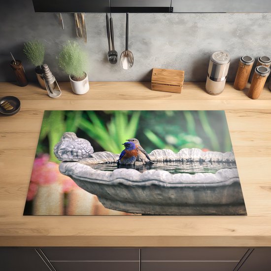 KitchenYeah® Inductie beschermer 76x51.5 cm - Vogel - Water - Fontein - Kookplaataccessoires - Afdekplaat voor kookplaat - Inductiebeschermer - Inductiemat - Inductieplaat mat