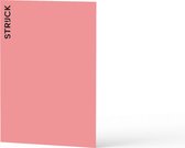 STRIJCK - Muurverf Kleurtester - Flamingo - 080R-4