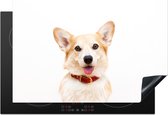 KitchenYeah® Inductie beschermer 77x51 cm - Corgi met halsband op witte achtergrond - Kookplaataccessoires - Afdekplaat voor kookplaat - Inductiebeschermer - Inductiemat - Inductieplaat mat