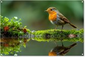 Tuinposter 120x80 cm - Tuindecoratie Roodborstje - Vogels - Natuur - Groen - Vogel - Poster voor in de tuin - Buiten decoratie - Schutting tuinschilderij - Tuindoek muurdecoratie - Wanddecoratie balkondoek