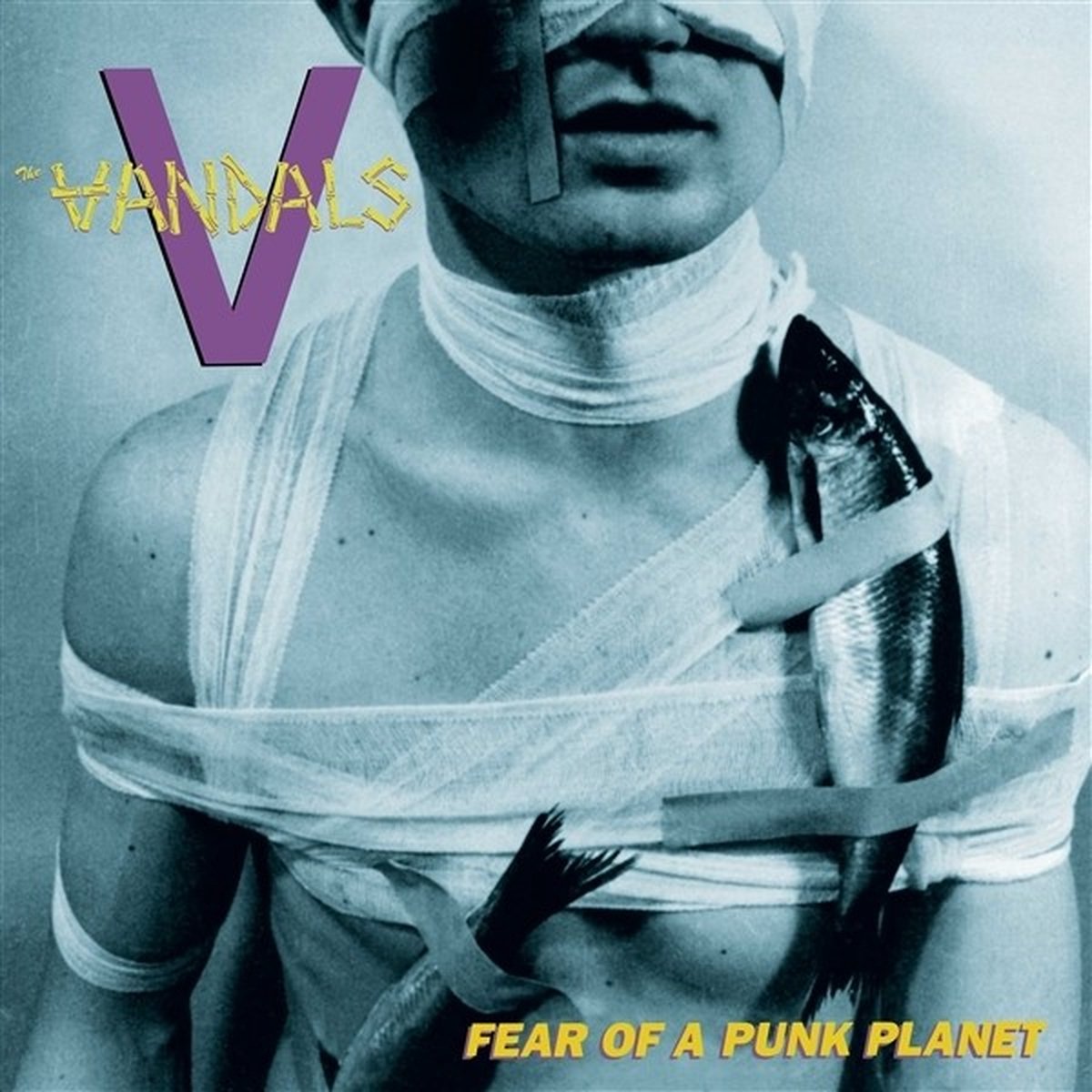 The Vandals - Fear Of A Punk Planet (CD)