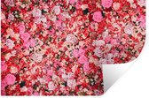 Stickers Stickers muraux - Fleurs - Couleurs - Roses - 60x40 cm - Feuille adhésive