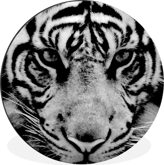 WallCircle - Cercle mural - Cercle mural - Tigre de Sumatra sur fond noir en noir et blanc - Aluminium - Dibond - 140x140 cm - Intérieur et Extérieur