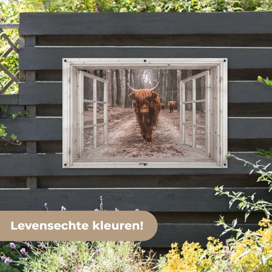 Een open raam met uitzicht op een Schotse hooglander op een bosweg, geplaatst op een donker houten schutting.