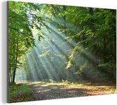 Décoration murale Métal - Aluminium - Printemps - Forêt - Arbre - 120x80 cm