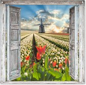 Tuinposter - Lente - Doorkijk - Bloemen - Molen - Tuin - Tuinschilderij - 100x100 cm - Tuindoek doorkijk
