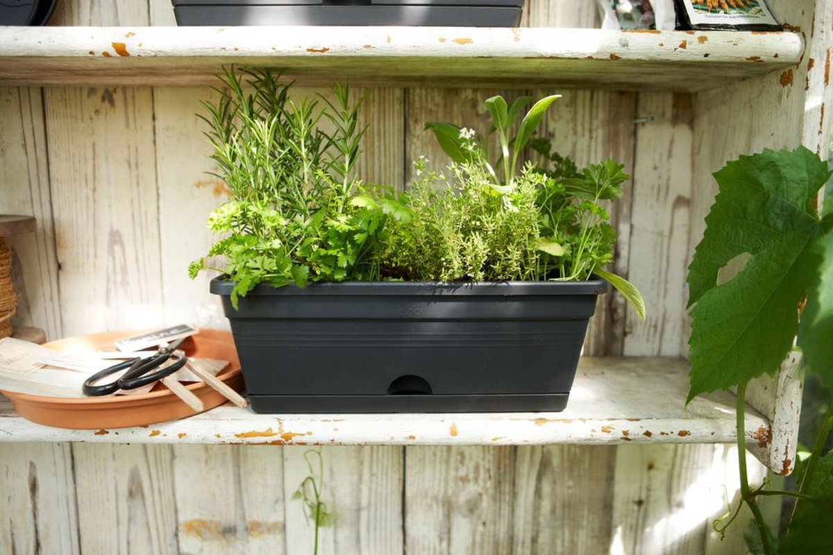 Elho Green Basics Balcony Planter Mini 30