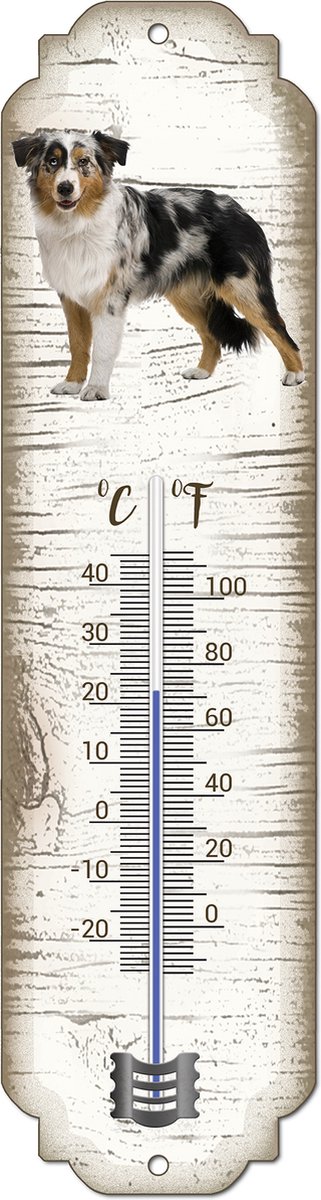 Thermometer: Bordercollie Tricolor | Hondenras | Temperatuur binnen en buiten | -25 tot +45C