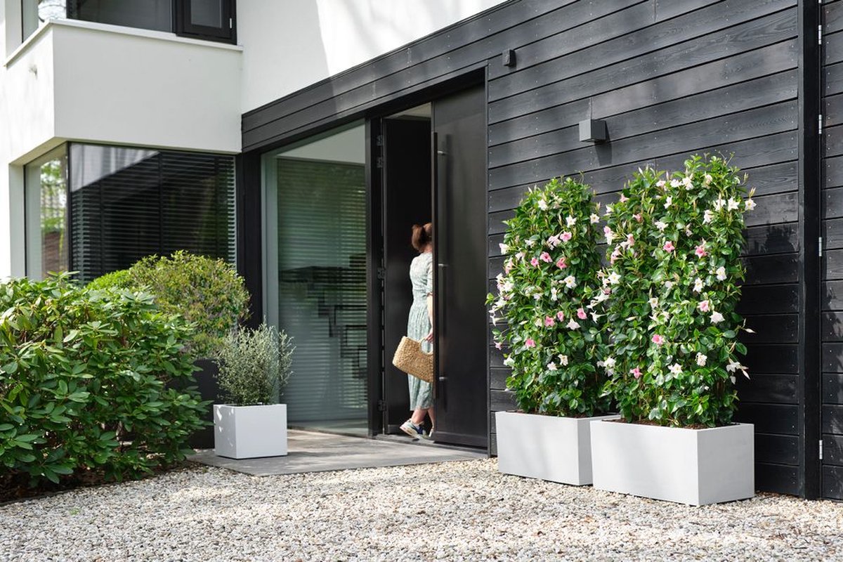 Elho Vivo Next Long 60 - Indoor & Outdoor Rectangular Planter