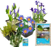 vdvelde.com - Compleet Vijverpakket - S - Blauw - Voor 100 - 500 L - 4 groepen waterplanten - Plaatsing: -1 tot -100 cm