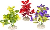 Aqua Della - Aquariumdecoratie - Vissen - Plant Crassula M - Height 16cm Gemengde Kleuren - 1st