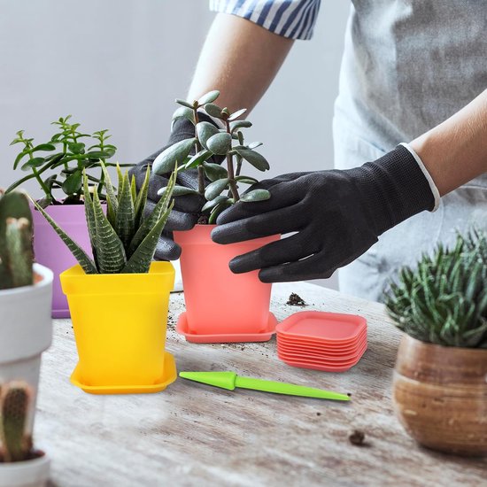Cactus mix 3 stuks in gekleurde 8,5 cm betonpot op pootjes