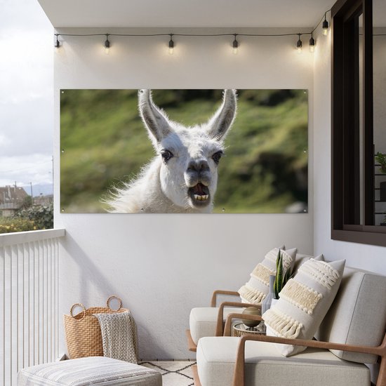 Affiche de clôture Lama - Drôle - Enfants - Garçons - Filles - Kids - 200x100 cm - Toile de jardin