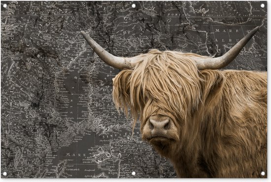 Poster schotse hooglander bergpad Kopen? Posters v.a. 6,95