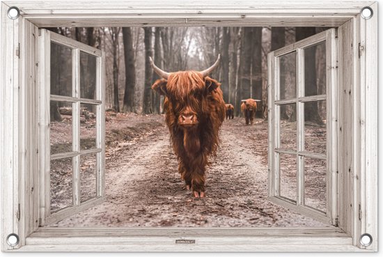 Foto: Tuinposter doorkijk schotse hooglander raam 60x40 cm tuindoek buitenposter