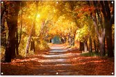 Un chemin forestier en automne Affiche de jardin 120x80 cm - Toile de jardin / Toile d'extérieur / Peintures d'extérieur (décoration de jardin)