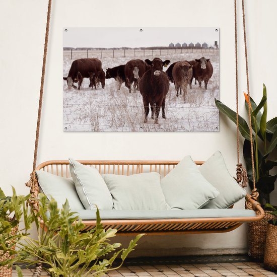 Affiche de jardin Troupeau de vaches dans un champ de neige 120x80 cm - Toile de jardin / Toile d'extérieur / Peintures d'extérieur (décoration de jardin)