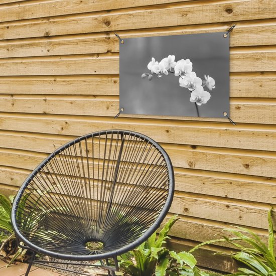 Décoration de jardin Orchidée - Fleurs - Plante - Wit - Violet - 60x40 cm - Poster jardin - Toile jardin - Poster extérieur