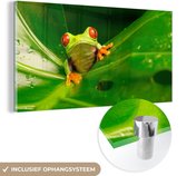 MuchoWow® Peinture sur verre 40x20 cm - Peinture acrylique sur verre - Grenouille - Feuilles - Photo sur verre - Peintures