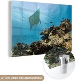 MuchoWow® Glasschilderij 60x40 cm - Schilderij acrylglas - Het koraal van het Groot Barrièrerif - Foto op glas - Schilderijen