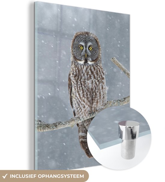 MuchoWow® Glasschilderij 120x160 cm - Schilderij acrylglas - Uil in de sneeuw - Foto op glas - Schilderijen