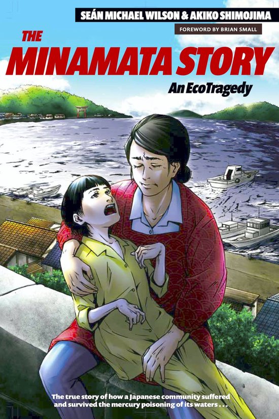 The Minamata Story: An EcoTragedy, une illustration d'une femme tenant une femme malade, avec un village côtier japonais en arrière-plan.