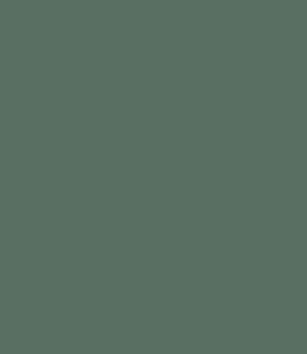 Carte Colori Calcare Kalkverf Laguna CC033 2,5 Liter