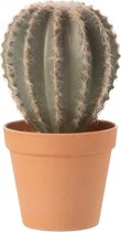 J-Line plant Cactus Bolvormig + Pot - kunststof - groen/terracotta - large