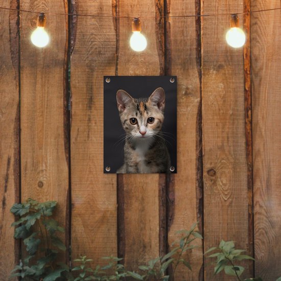 Tuinposter 30x40 cm - Tuindecoratie Kat - Zwart - Portret - Poster voor in de tuin - Buiten decoratie - Schutting tuinschilderij - Tuindoek muurdecoratie - Wanddecoratie balkondoek