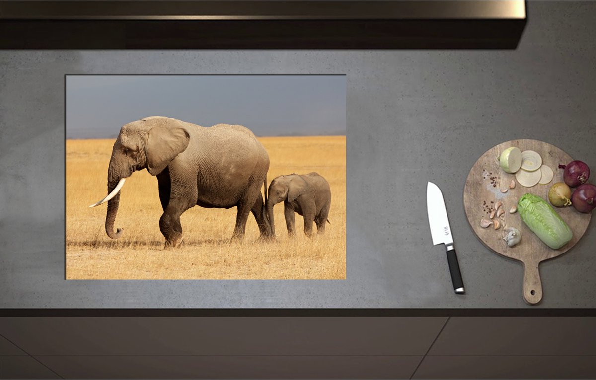 Inductieplaat Beschermer - Afrikaanse Olifant met Baby Olifantje - 71x52 cm - 2 mm Dik - Inductie Beschermer - Bescherming Inductiekookplaat - Kookplaat Beschermer van Wit Vinyl