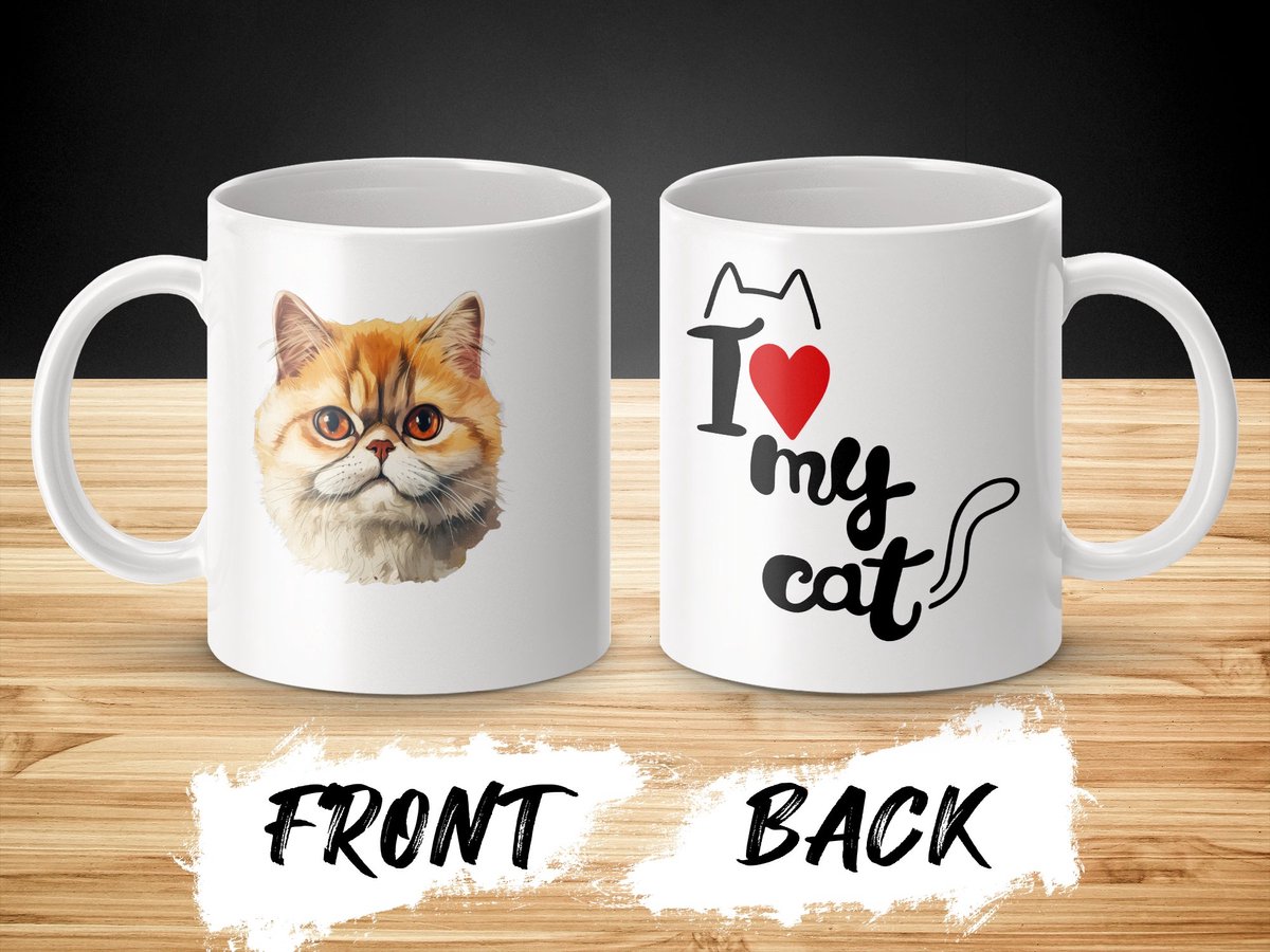 Mok Exotic Shorthair cat - kat - I love my cat - cat lovers - katten