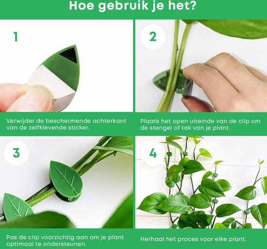 Guide étape par étape pour l'utilisation de clips autocollants pour plantes: retirer l'autocollant, placer le clip sur la tige, ajuster, répéter. Avec texte néerlandais.
