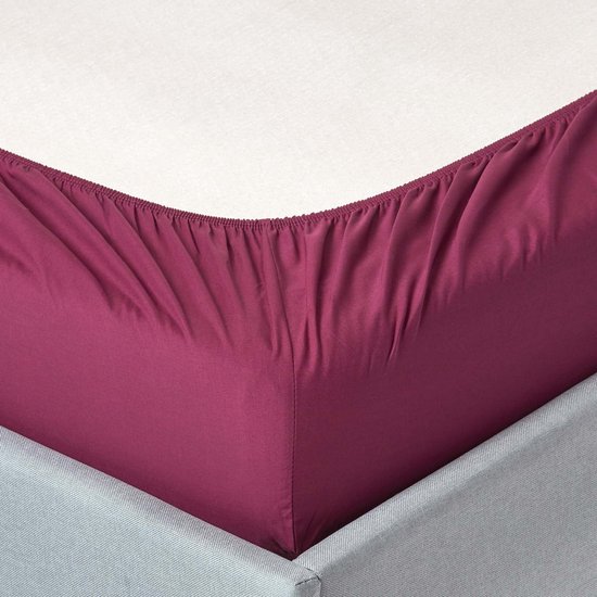 Homescapes Drap-housse Prune 100% coton Égyptien 200 fils 150 x 200 cm