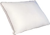 Coussin Palacio Oreiller sensible en percale de coton - 91 fils/cm² - 50 x 70 cm - 700 gr - Wit - AUXENCE L 70 cm x H 10 cm x P 50 cm