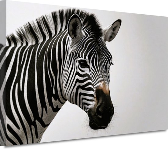 Zebra schilderijen - Dier portret - Schilderij op canvas Zwart wit - Landelijke schilderijen - Canvas schilderij - Decoratie woonkamer 90x60 cm