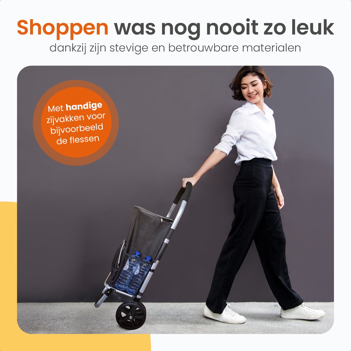 Vounot Boodschappentrolley met 2 wielen van aluminium met - Vergelijk