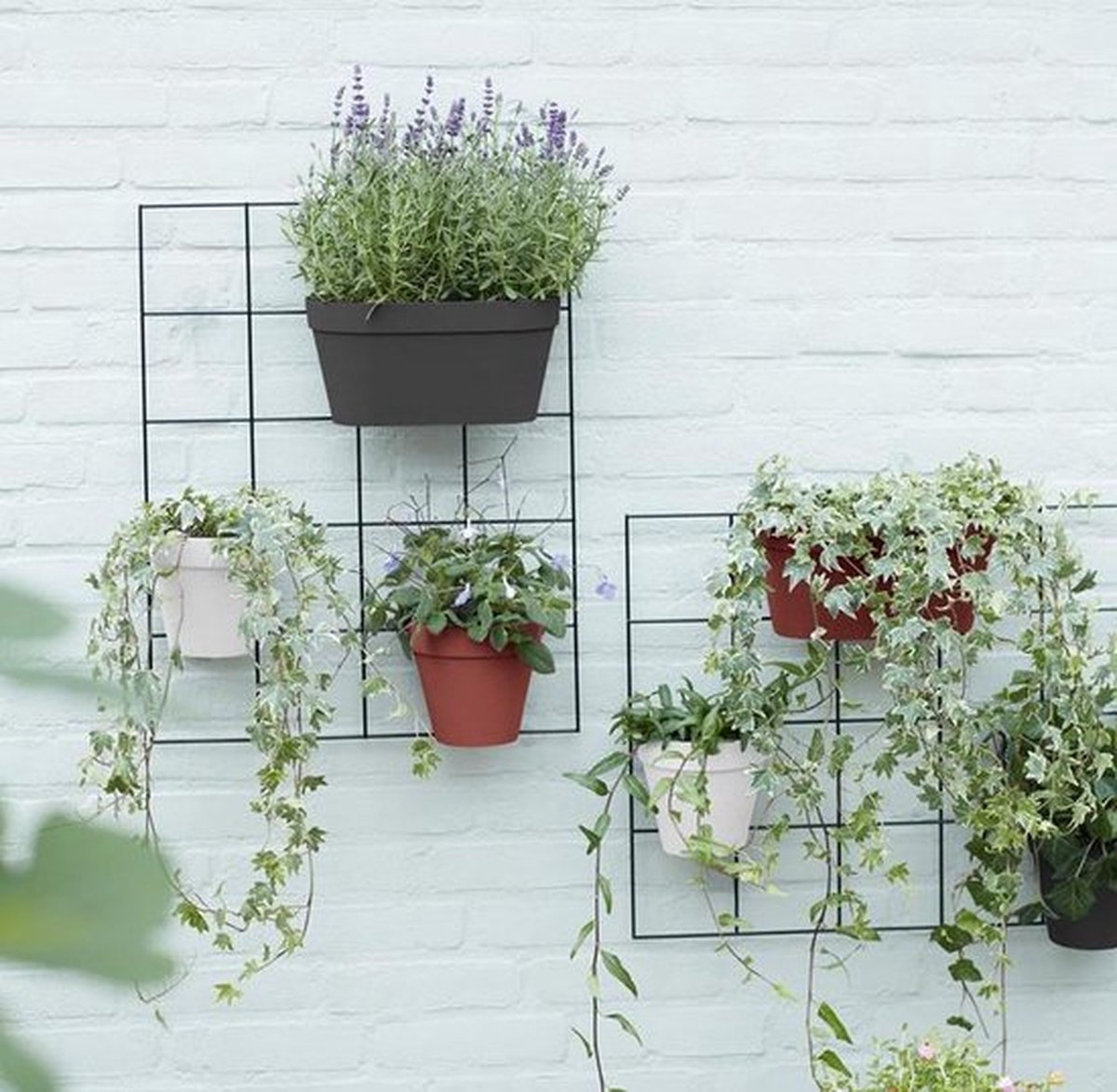 Elho Loft Urban Green Wall Pot Single 15 - Pot de fleurs pour l'extérieur