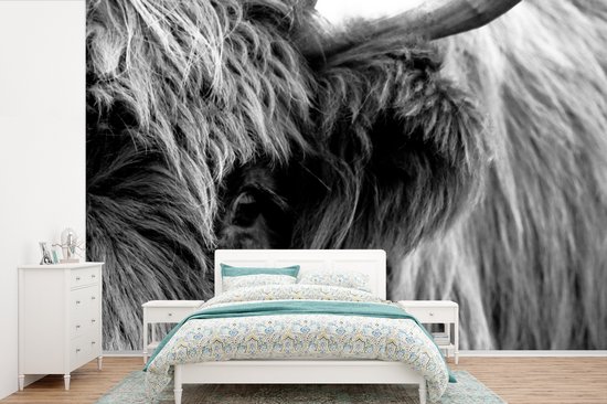 Papier peint Papier peint photo en vinyle - Highlander écossais Zwart et blanc largeur 360 cm x hauteur 240 cm - Tirage photo sur papier peint (disponible en 7 tailles)