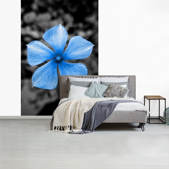 Papier peint - Papiers Papier peint photo Fleurs - Blauw - Zwart - Wit - Largeur 225 cm x hauteur 350 cm