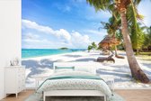 Papier peint - Papier peint photo Plage - Mer - Palmiers - Largeur 450 cm x hauteur 300 cm