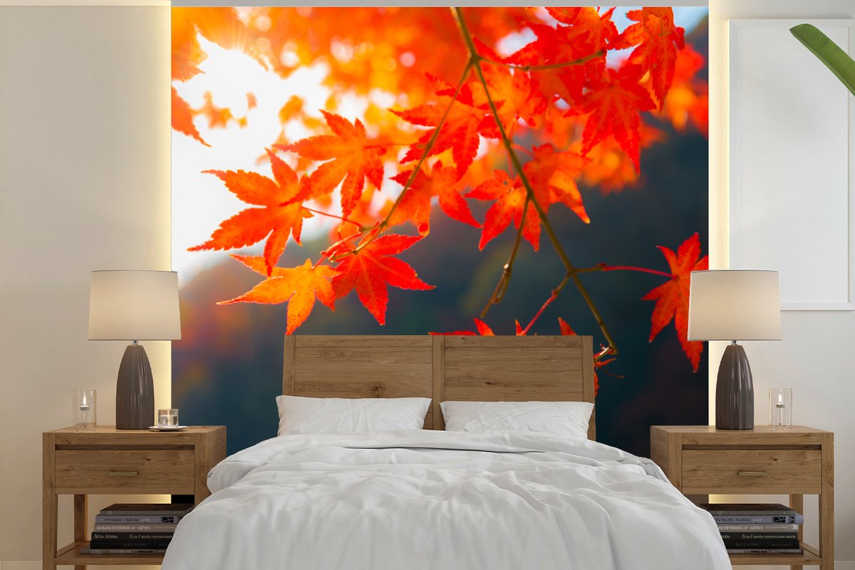 Behang - Fotobehang Herfstbladeren in Japan - Breedte 260 cm x hoogte 260 cm