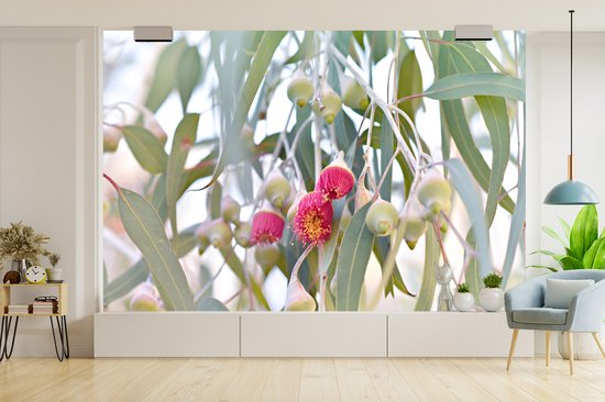 Papier peint Papier peint photo en vinyle - Fleurs d'eucalyptus roses entre les feuilles largeur 600 cm x hauteur 400 cm - Tirage photo sur papier peint (disponible en 7 tailles)