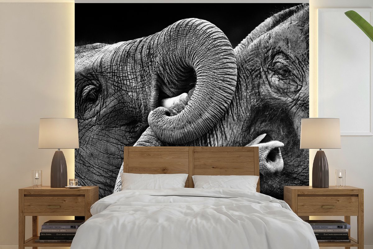 Behang - Fotobehang Omhelzing olifanten op zwarte achtergrond in zwart-wit - Breedte 260 cm x hoogte 260 cm
