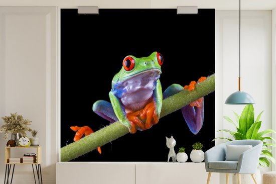 Papier peint photo vinyle - Portrait d'une grenouille sur fond noir largeur 240 cm x hauteur 240 cm - Tirage photo sur papier peint (disponible en 7 tailles)