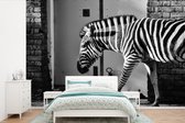 Behang - Fotobehang Zebra - Muur - Deur - Dieren - Zwart wit - Breedte 390 cm x hoogte 260 cm