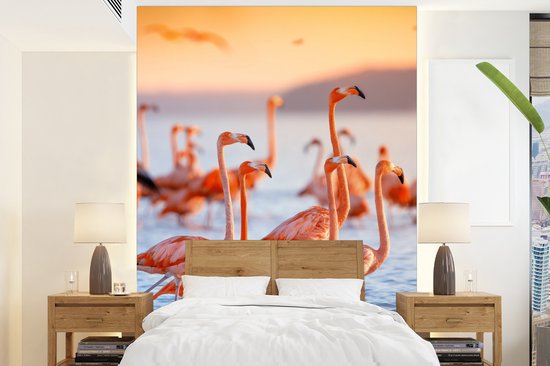 Behang - Fotobehang Flamingo - Dieren - Water - Roze - Breedte 165 cm x hoogte 220 cm